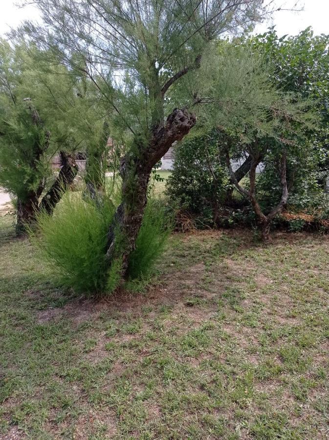 La Maison De Papou La Vigne A Nans Les Pins 83860 Екстер'єр фото